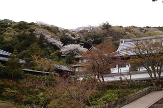 P4044625.jpg