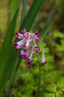 P4044644.jpg