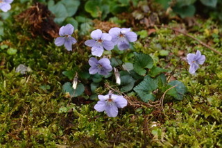 P4044647.jpg