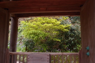 P4044649.jpg