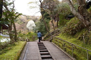 P4044665.jpg