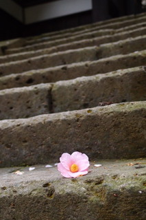 P4044667.jpg