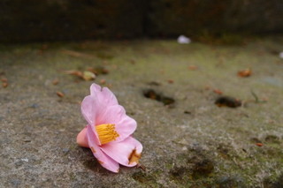 P4044670.jpg
