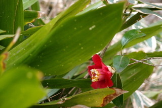 P4044674.jpg