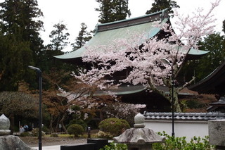 P4044683.jpg