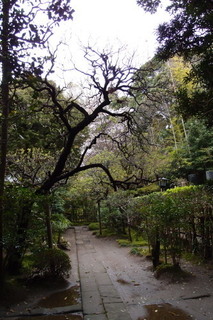 P4044684.jpg