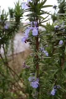 P4044691.jpg