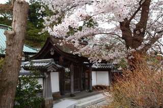 P4044692.jpg
