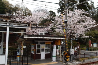 P4044697.jpg
