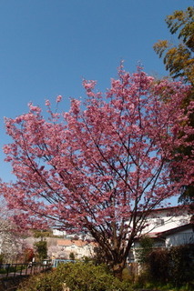 P4048366.jpg