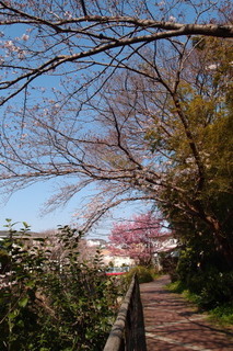 P4048369.jpg