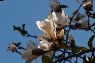 P4048381.jpg