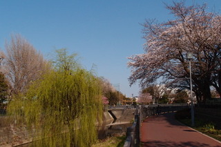 P4048382.jpg