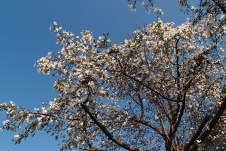 P4048383.jpg