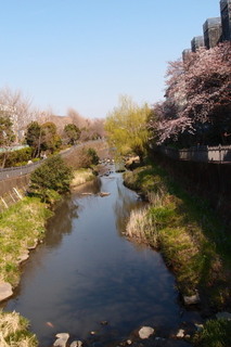 P4048395.jpg
