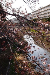 P4048399.jpg