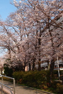 P4048403.jpg