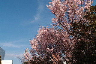 P4048405.jpg