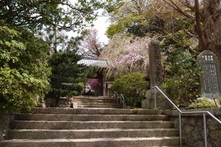 P4064785.jpg