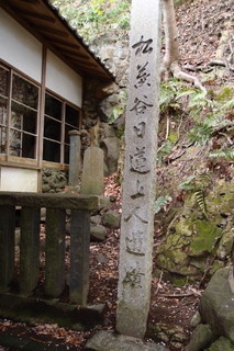 P4064791.jpg