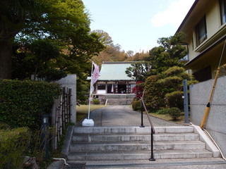 P4080981.jpg