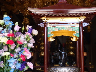 P4080985.jpg
