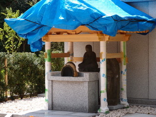 P4080990.jpg