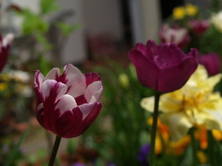 P4088738.jpg