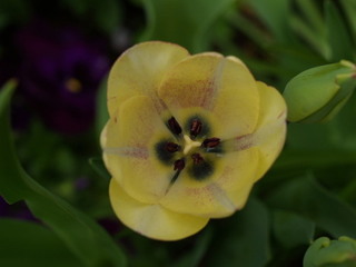 P4088764.jpg