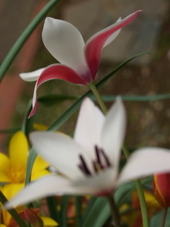 P4088772.jpg
