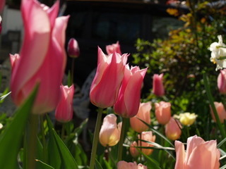 P4091654.jpg