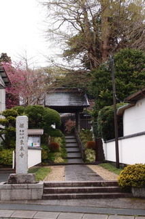 P4098455.jpg