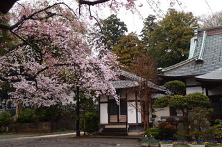 P4098459.jpg