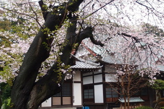 P4098493.jpg