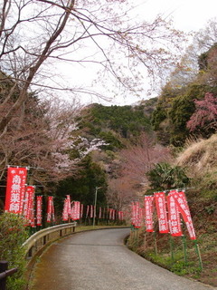 P4128567.jpg