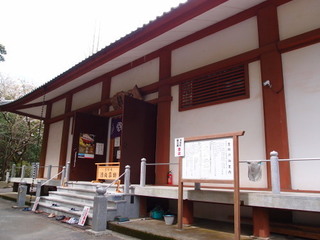 P4128575.jpg