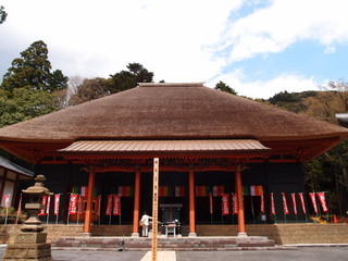 P4128585.jpg