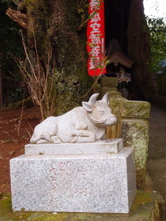 P4128593.jpg