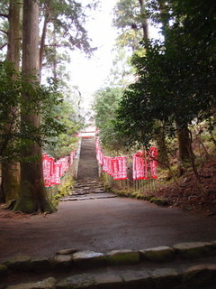 P4128600.jpg