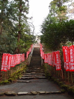 P4128602.jpg