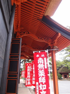 P4128615.jpg