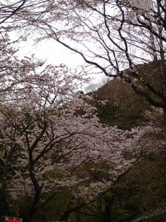 P4128620.jpg