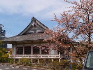 P4168630.jpg