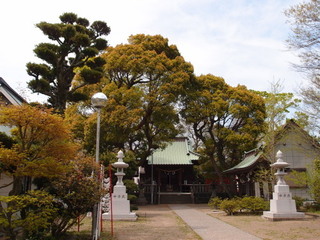 P4168635.jpg