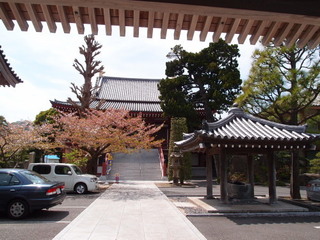 P4168650.jpg