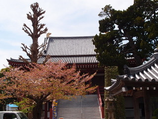 P4168651.jpg