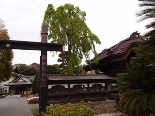 P4178680.jpg