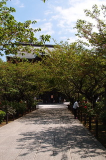 P4194907.jpg