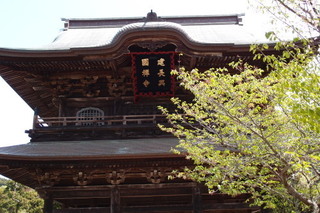 P4194914.jpg
