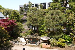 P4194932.jpg